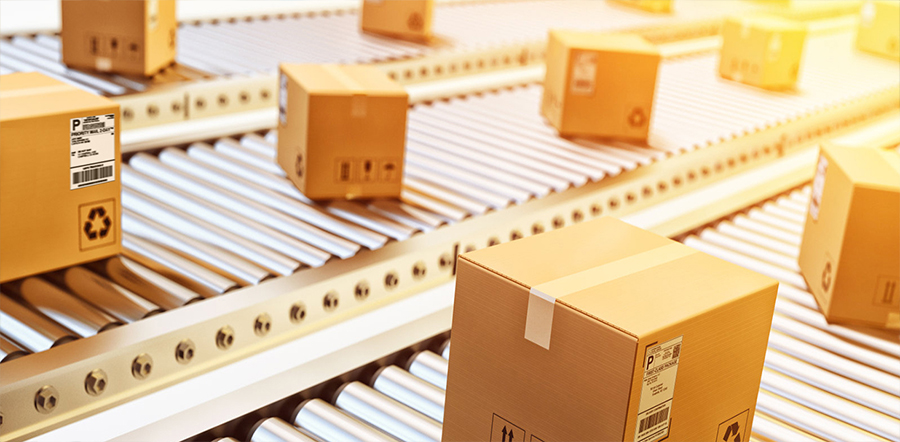 Koli Üretimi Mesutsan