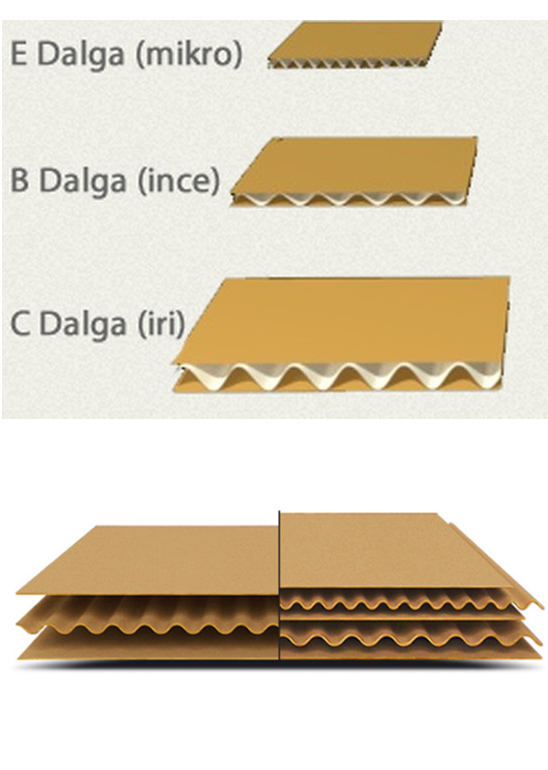 Koli Üretimi Mesutsan