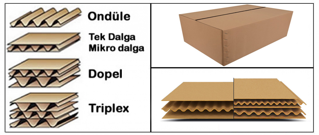 Koli Üretimi Mesutsan